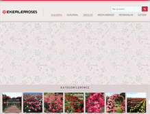 Tablet Screenshot of ekerlerroses.com